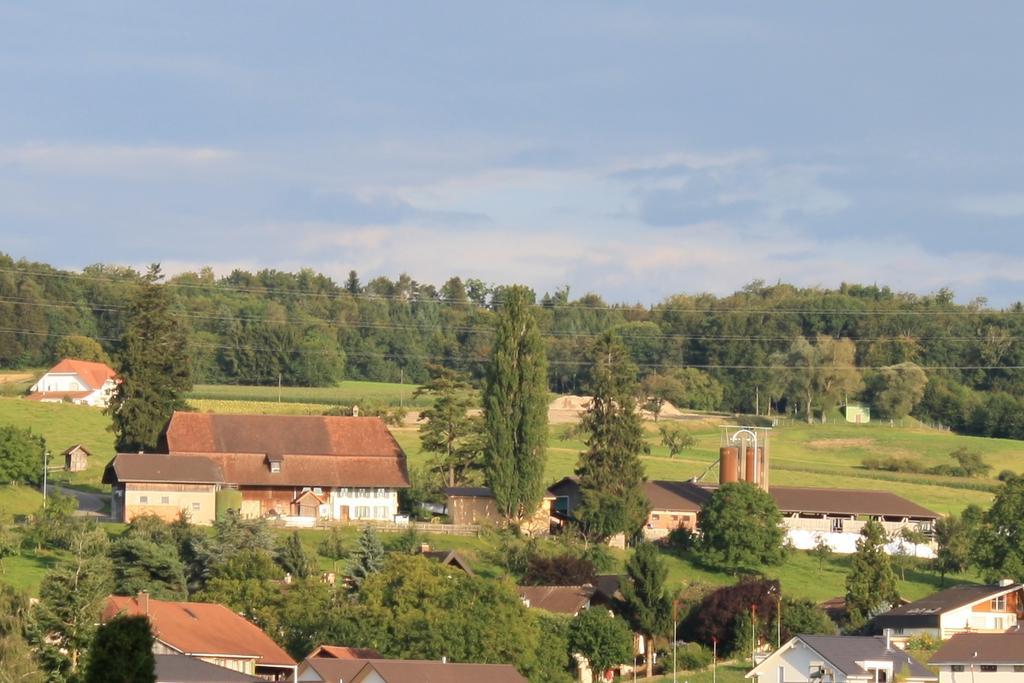 Hof Oberprehl * Murten